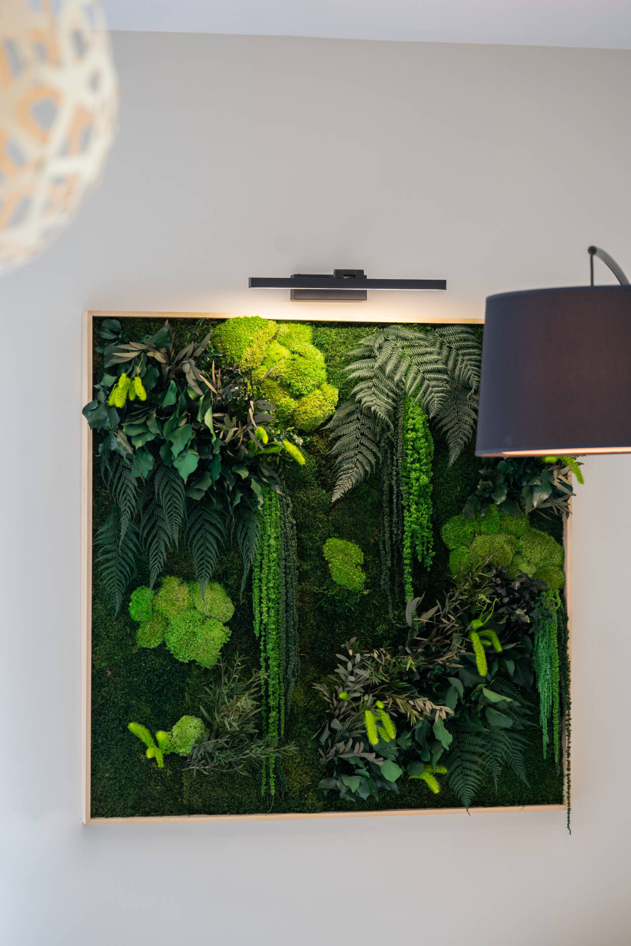 Salon avec cadre végétal, par Myll décors , Agence de décoration à Aix en Provence et dans le Var